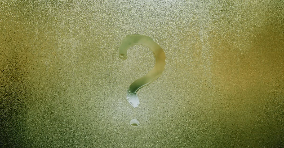 Descubra o Significado de Rifa: A Solução para suas Dúvidas ⎯ Foto: Julia Filirovska/Pexels