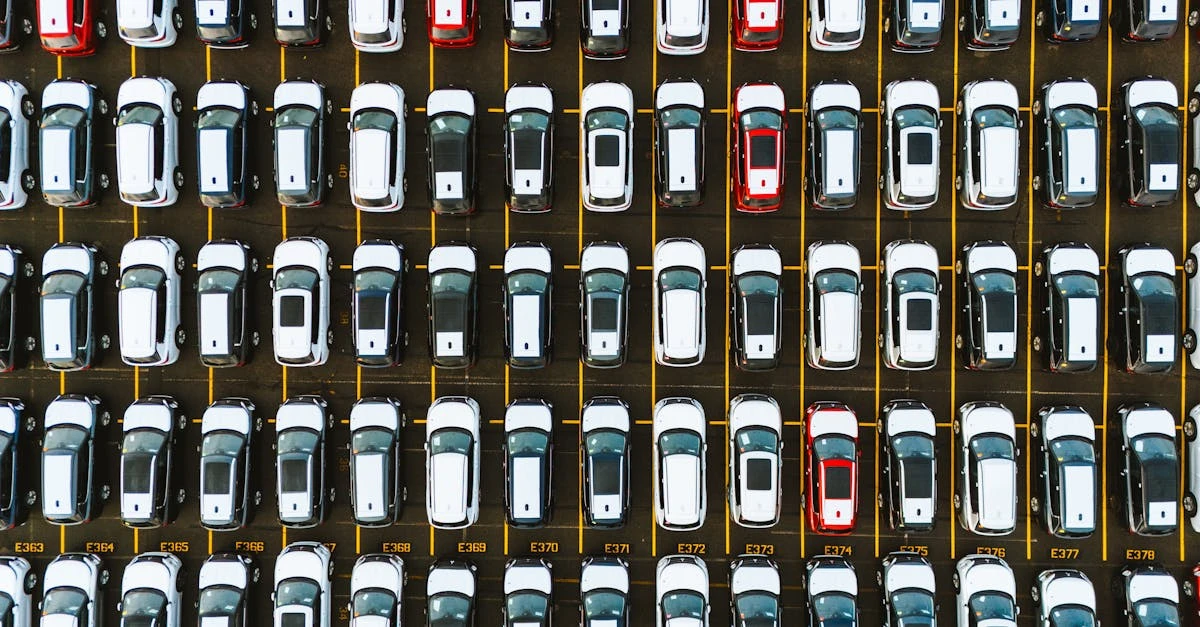 Dicas valiosas: Sugestões para organizar rifas com prêmios pequenos ⎯ Foto: Luke Miller/Pexels