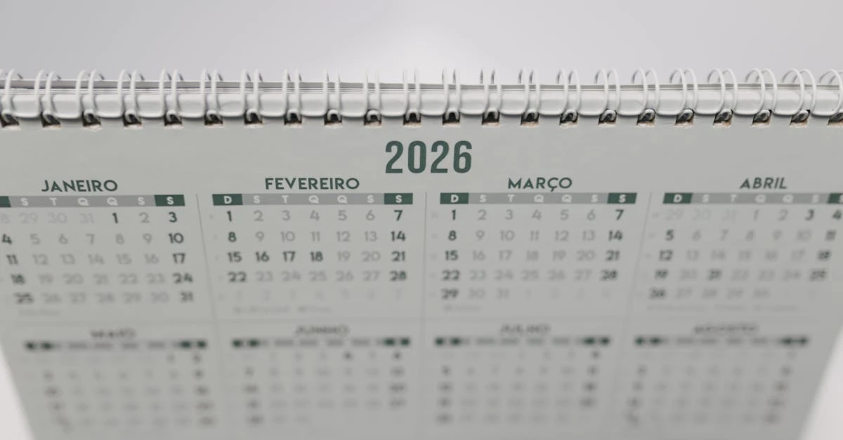 Rifa com 250 números: Como organizar e garantir sucesso? ⎯ Foto: Matheus Bertelli/Pexels