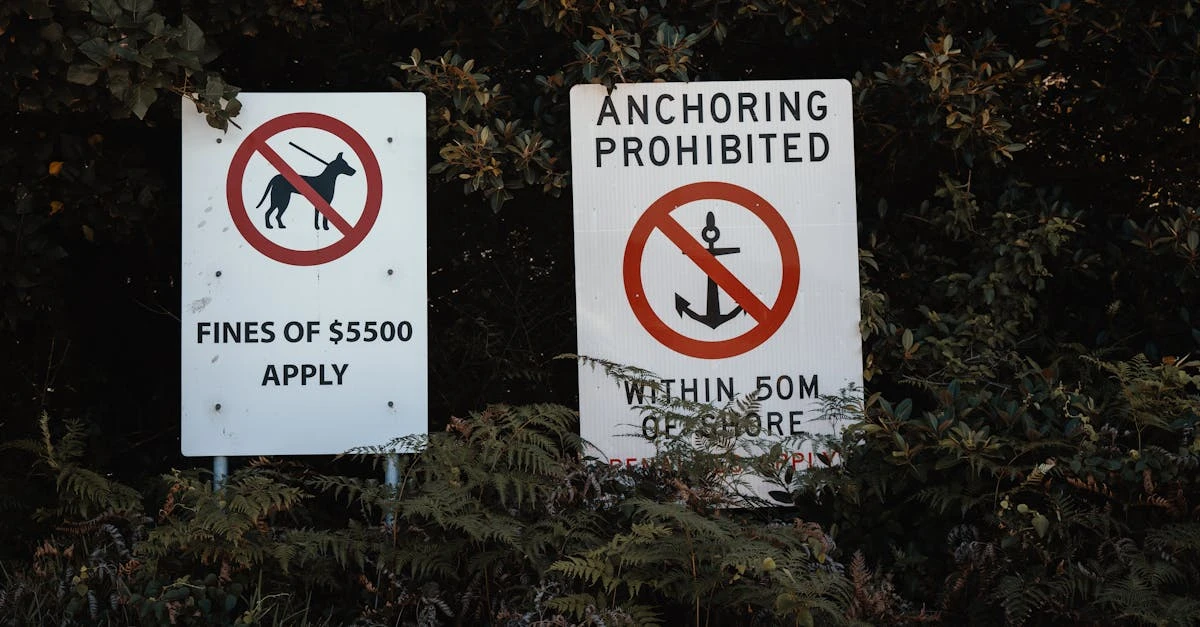 Alternativas para rifas: práticas legais e éticas