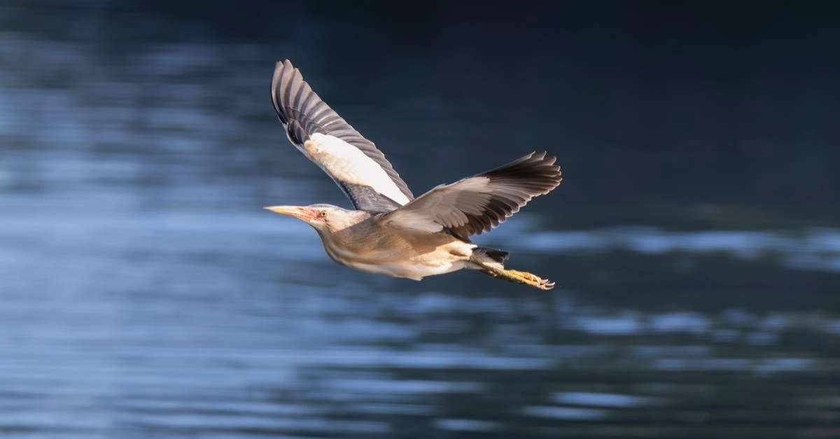 Aprenda a Organizar uma Rifa Online com 100 Números Grátis ⎯ Foto: Jesús Esteban San José/Pexels