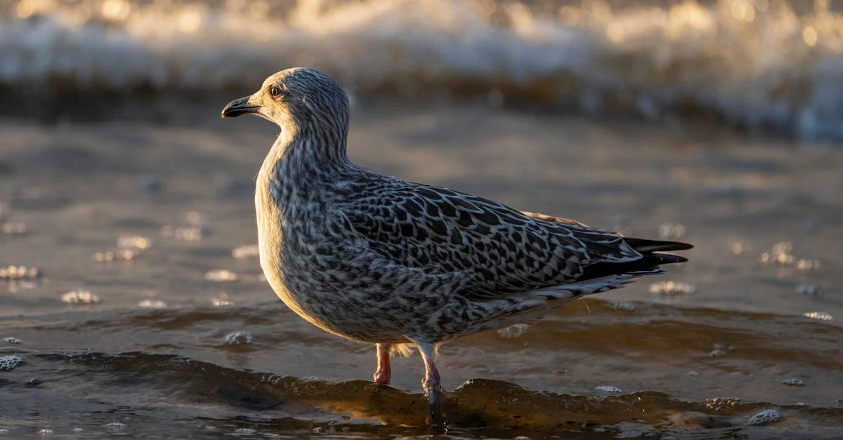 Descubra 7 sites para criar rifa online grátis com segurança ⎯ Foto: Raul Koženevski/Pexels