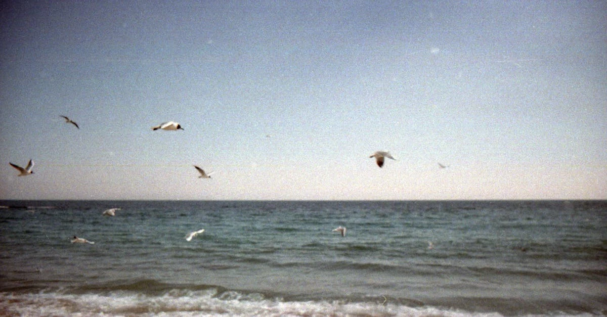 Descubra Como Fazer Uma Rifa Online Gratuita e Revolucionária ⎯ Foto: Victoria Gee/Pexels