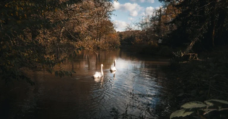 Descubra Como Fazer uma Rifa Online Gratuita de Sucesso ⎯ Foto: İnci/Pexels