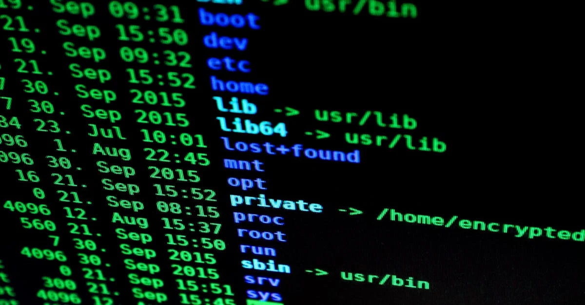 Descubra Como Fazer uma Rifa Online com Identificação de Participantes ⎯ Foto: Pixabay/Pexels