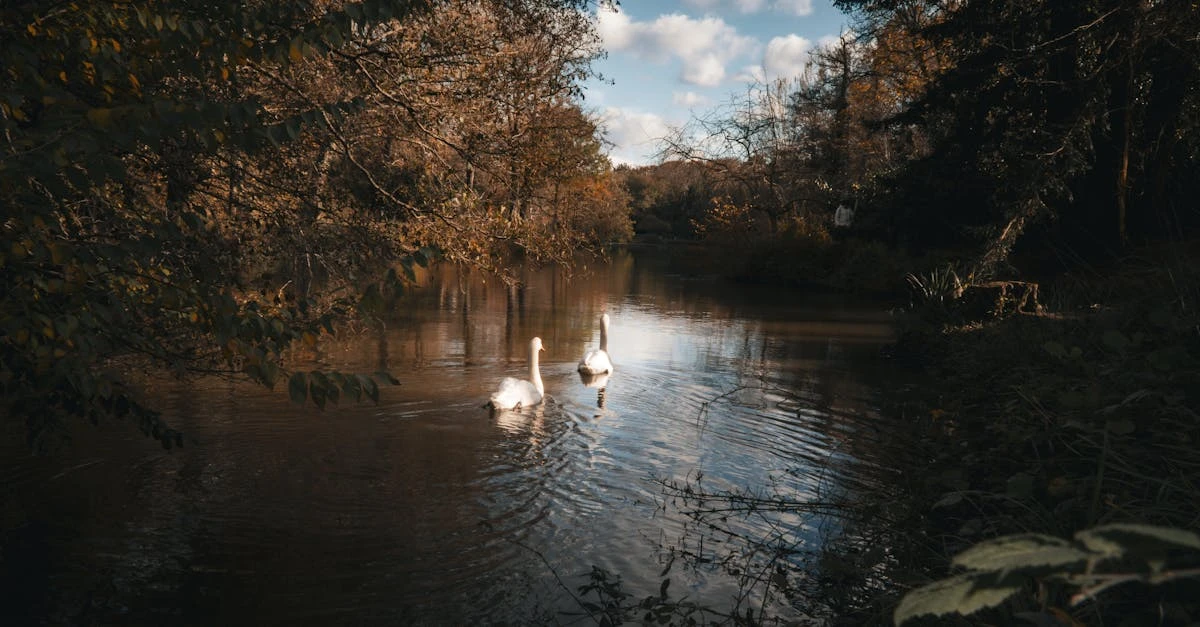 Qual é o melhor site para fazer rifa online de graça? Descubra aqui! ⎯ Foto: İnci/Pexels