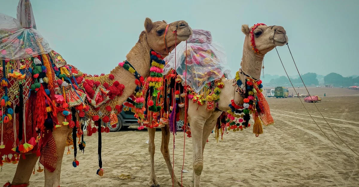 Sistema de sorteio de rifas: como garantir resultados justos ⎯ Foto: Endiae Genius/Pexels